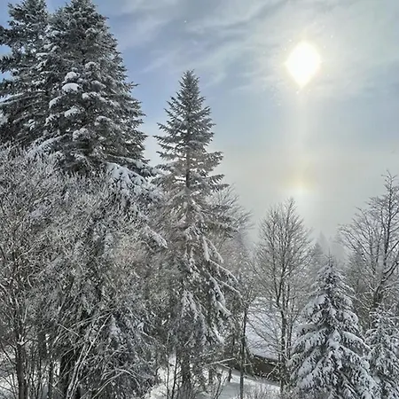 Appartement Au Pied Des Pistes Avec Wifi, Ideal Pour 4 Personnes, Proche Commerces Et Patinoire